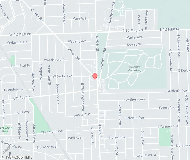 Royal Oak Smiles: Dr. Dolores Baran, DDS